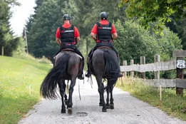 Referenzen Bild 49