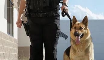 Revier-und-Standwachdienst Revier-und-Standwachdienst